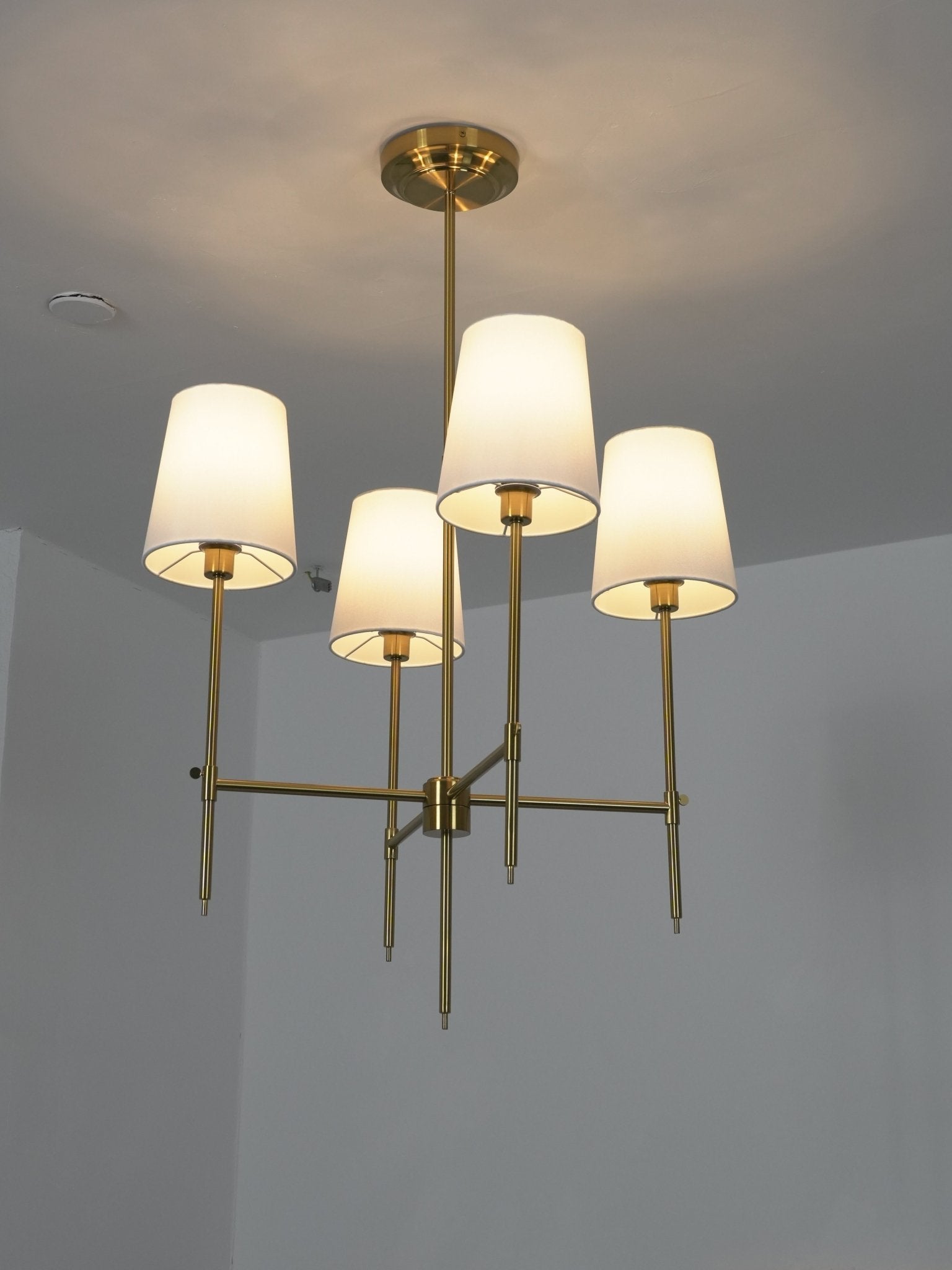 Elowen Brass Chandelier