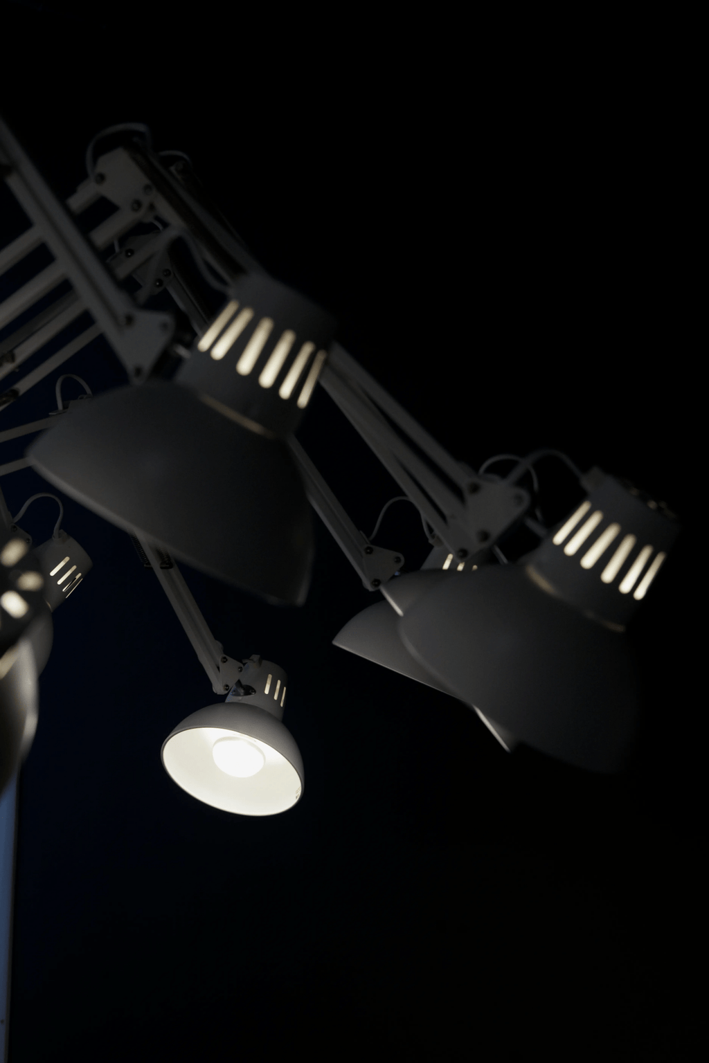 Dear Ingo Chandelier