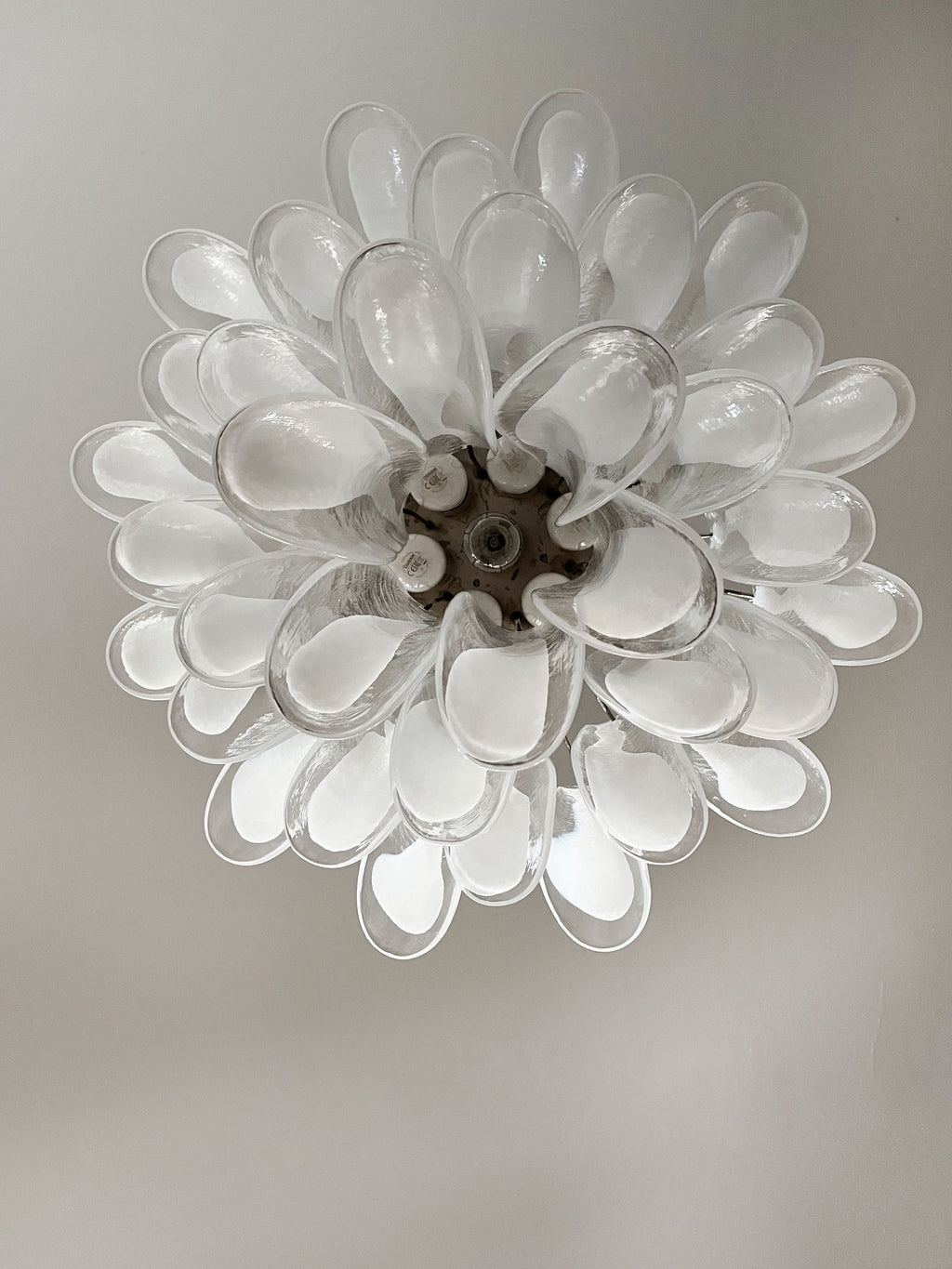 Mid-Century Murano Chandelier | Punto di Luce |  36 Clear Petal Glasses