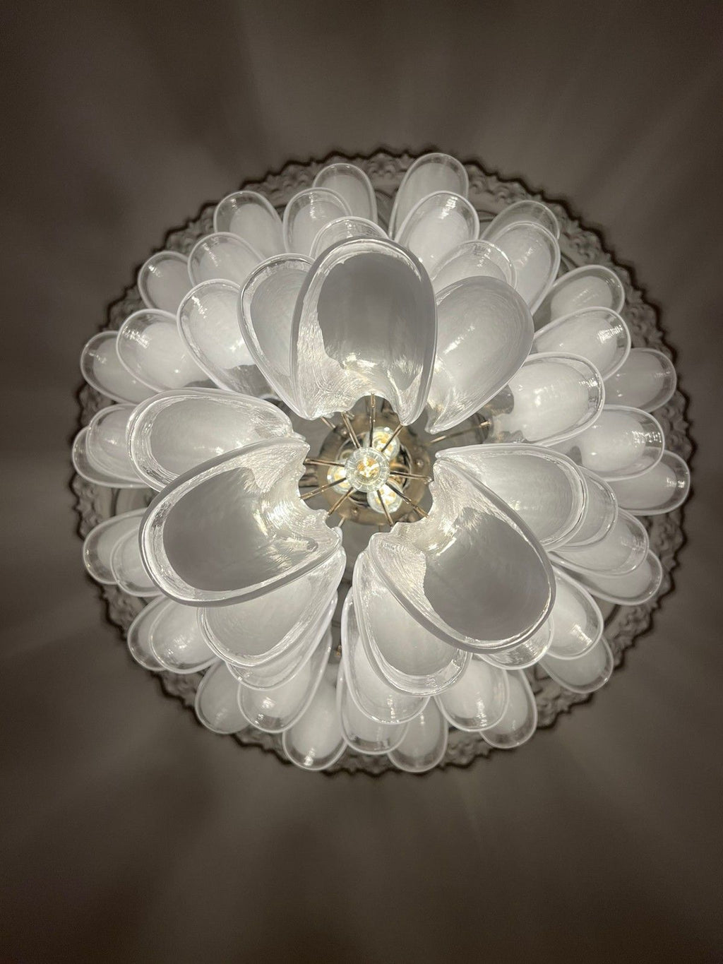 Mid-Century Murano Chandelier | Punto di Luce |  52 White Petal Glass