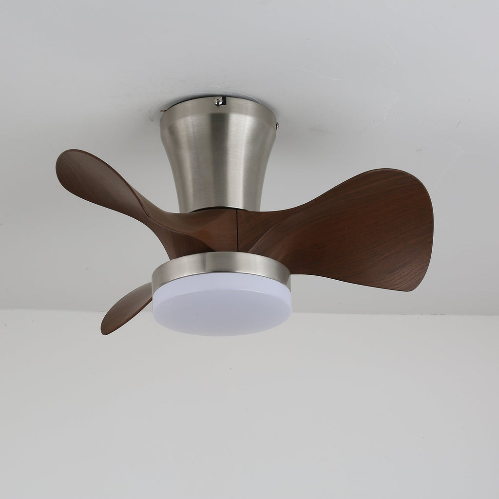 Arvento Ceiling Fan Light