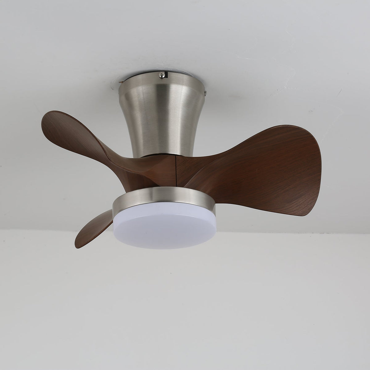 Arvento Ceiling Fan Light