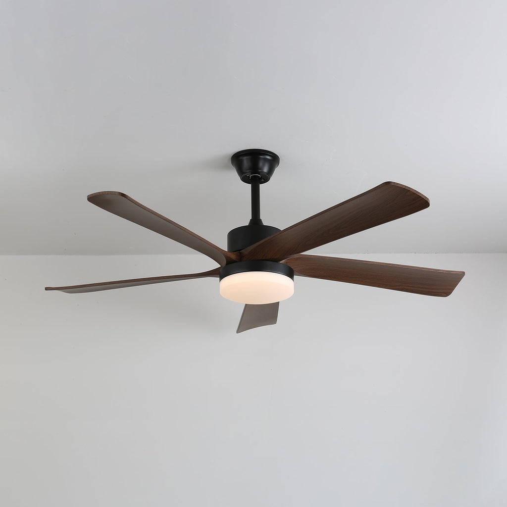 Auralin Breeze Ceiling Fan Light