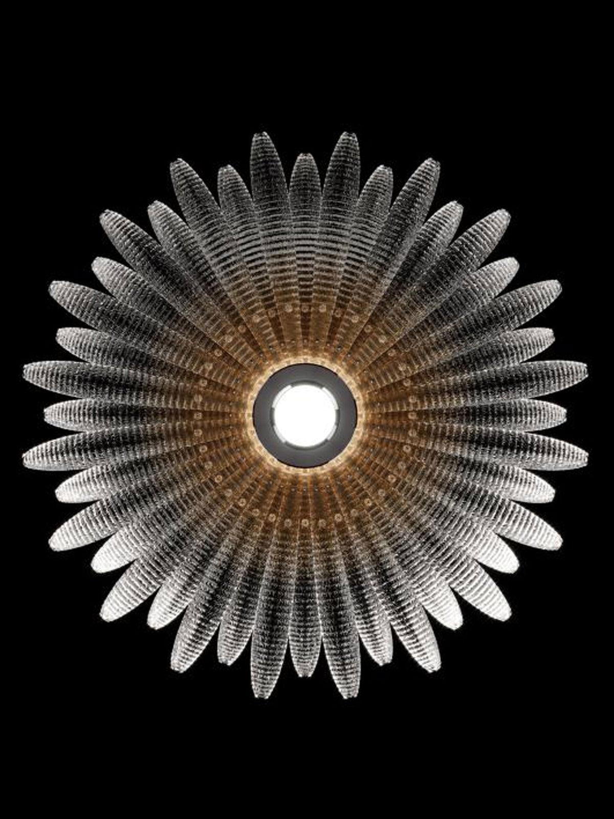Aurelia Glass Petal Ceiling Light