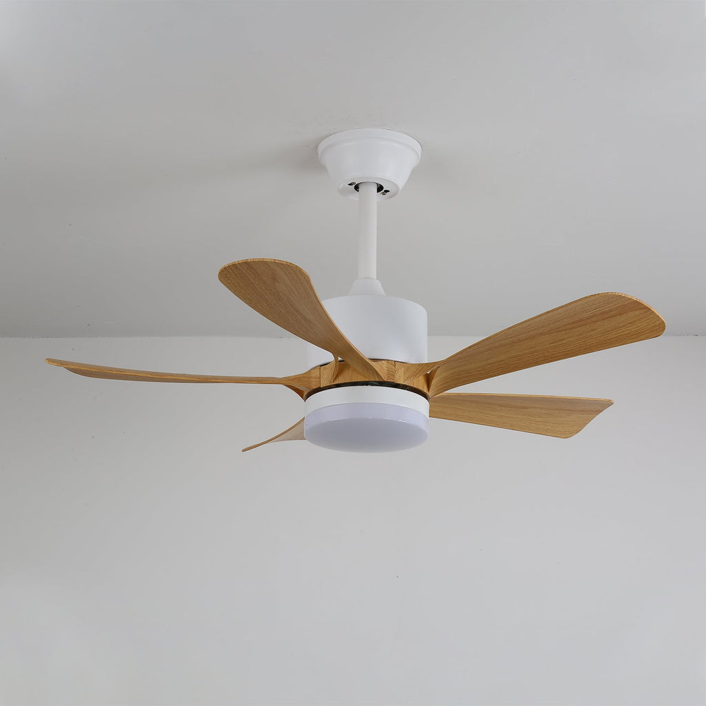 Avenli Ceiling Fan Light - Vakkerlight