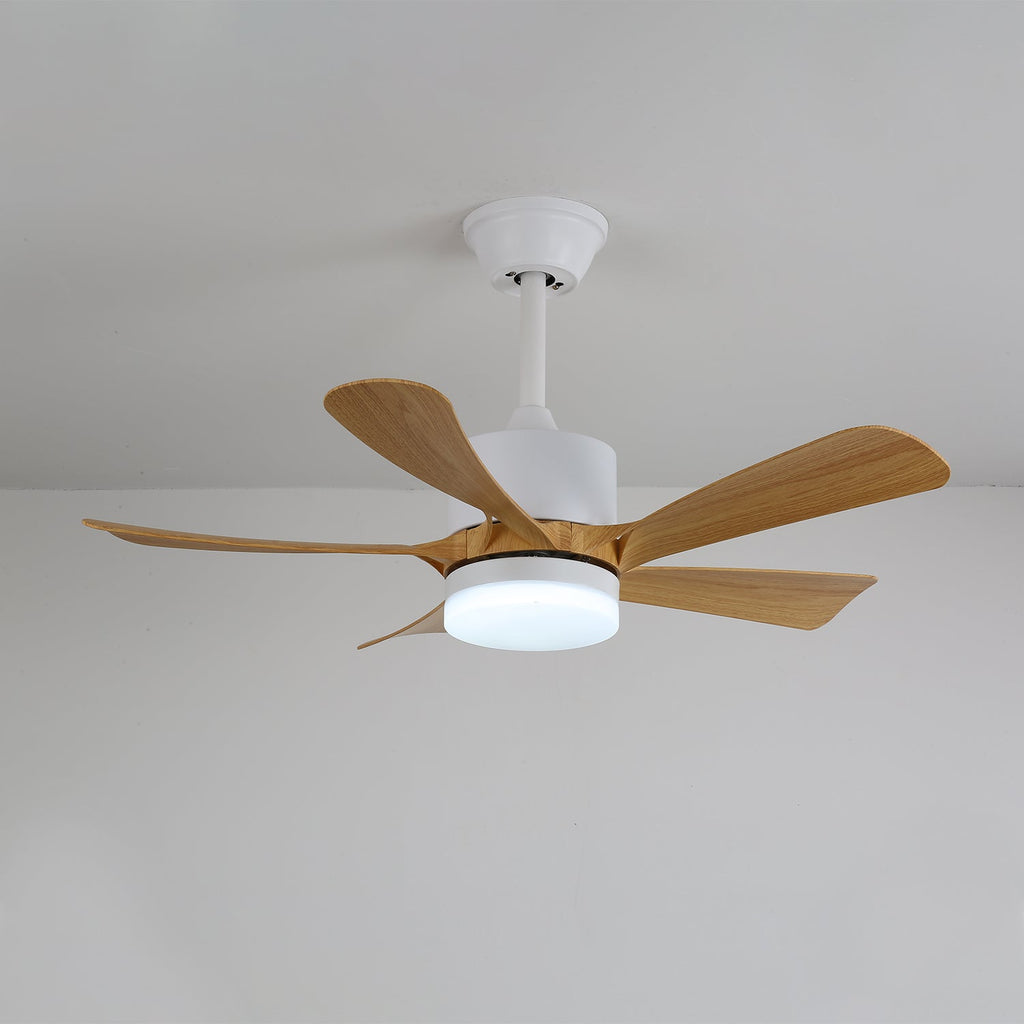 Avenli Ceiling Fan Light