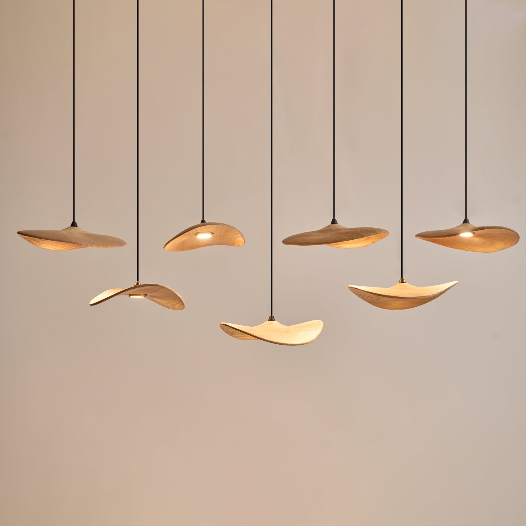 Empty Leaf Chandelier