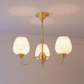 Endon Alton Chandelier - Vakkerlight