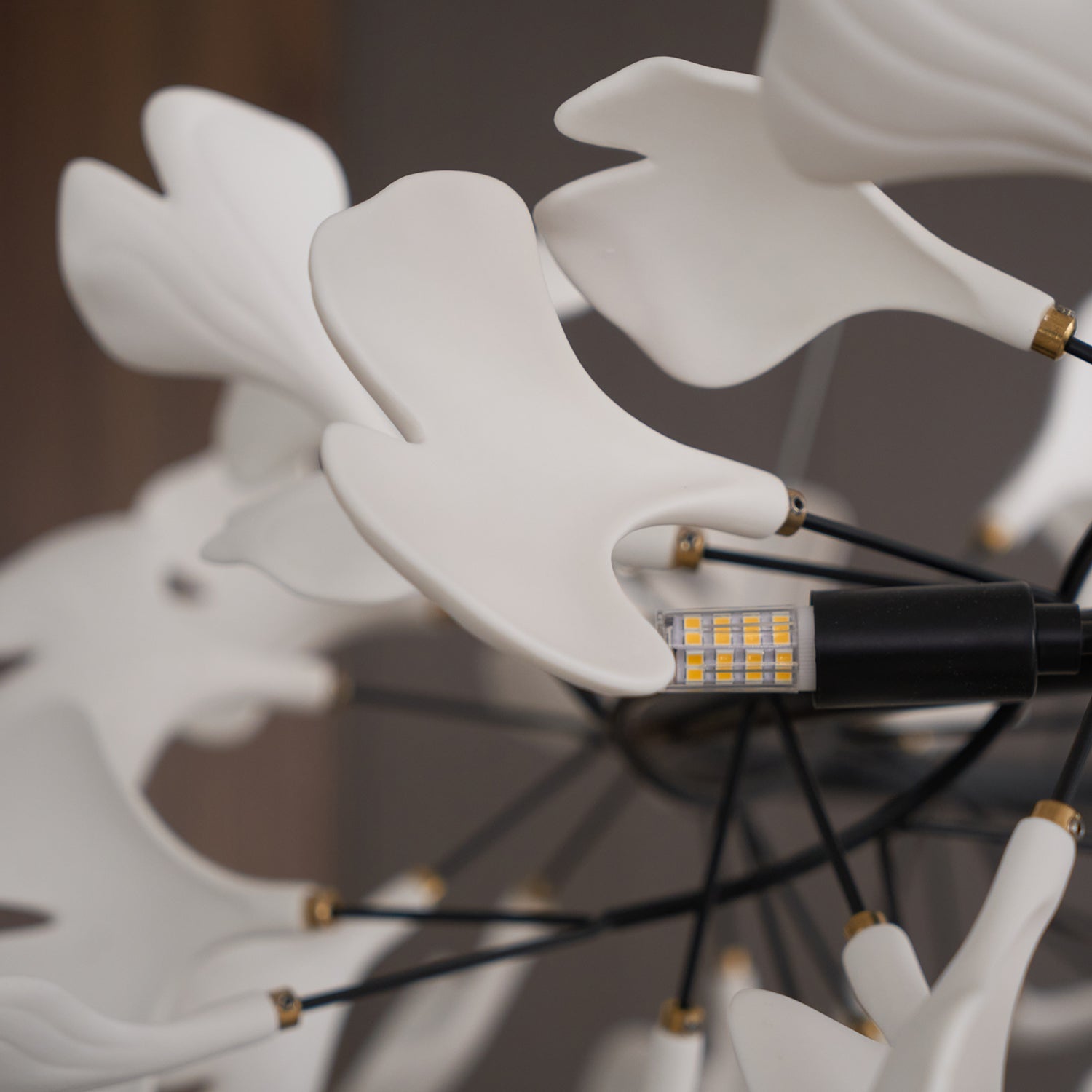 Gingko Chandelier O