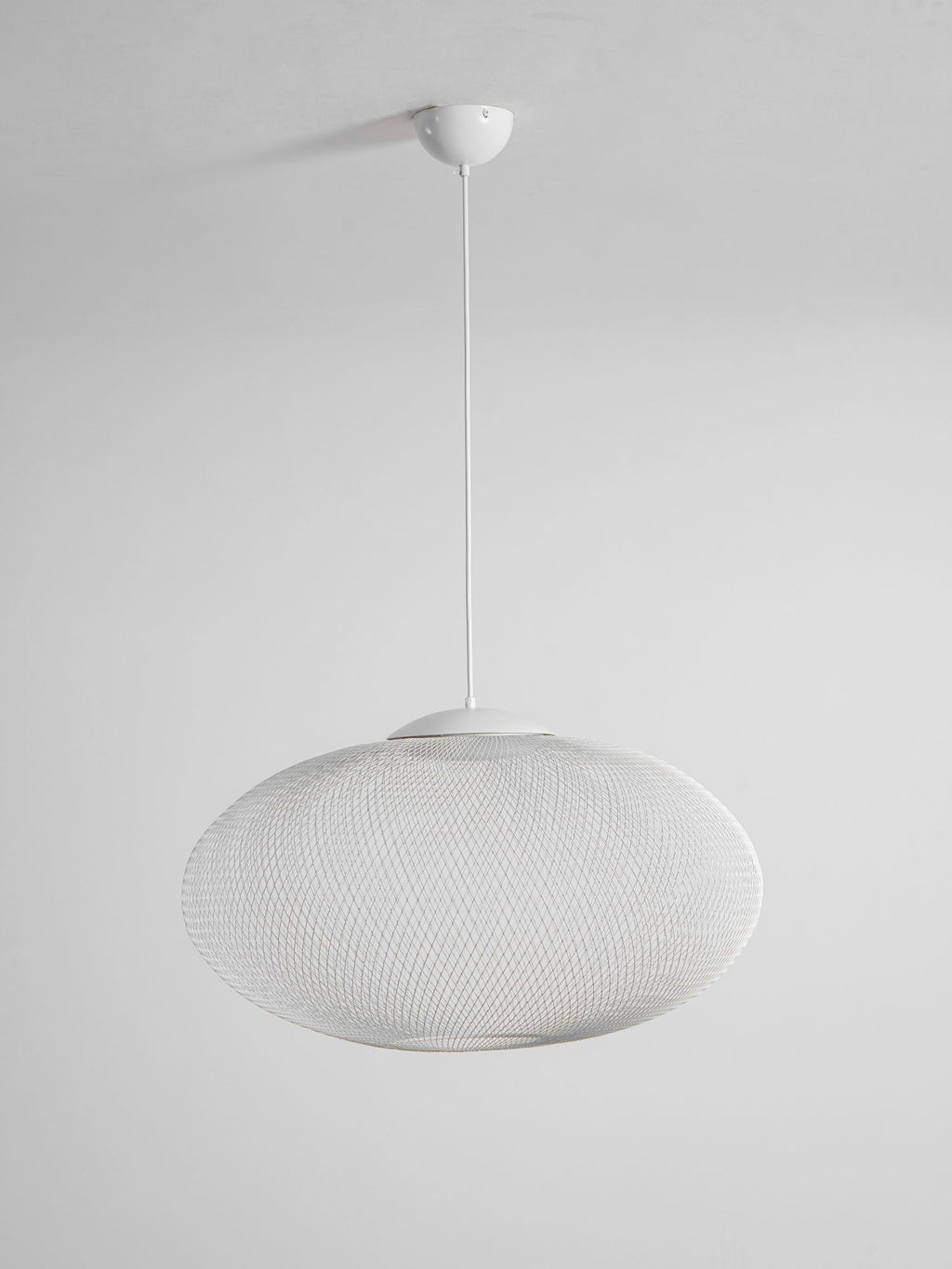 Metallic Meshwork Pendant Lamp