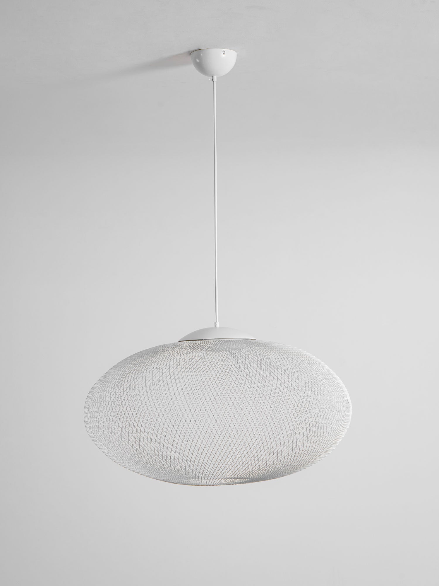 Metallic Meshwork Pendant Lamp