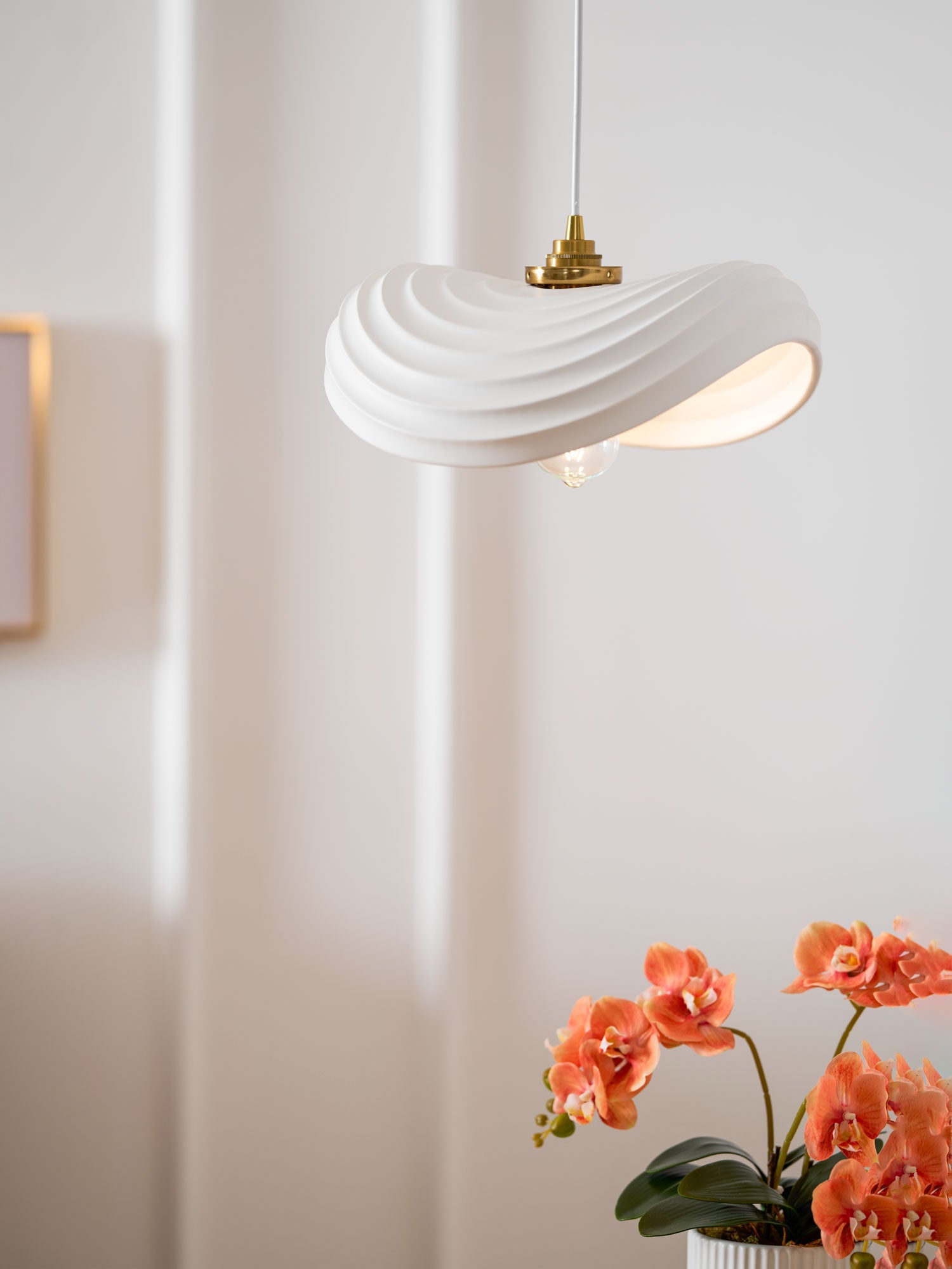 Navicula Pendant Light