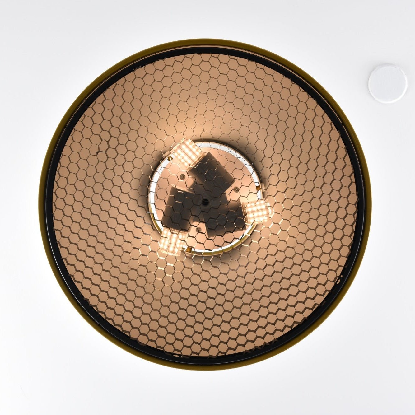 Podgy Pendant Light