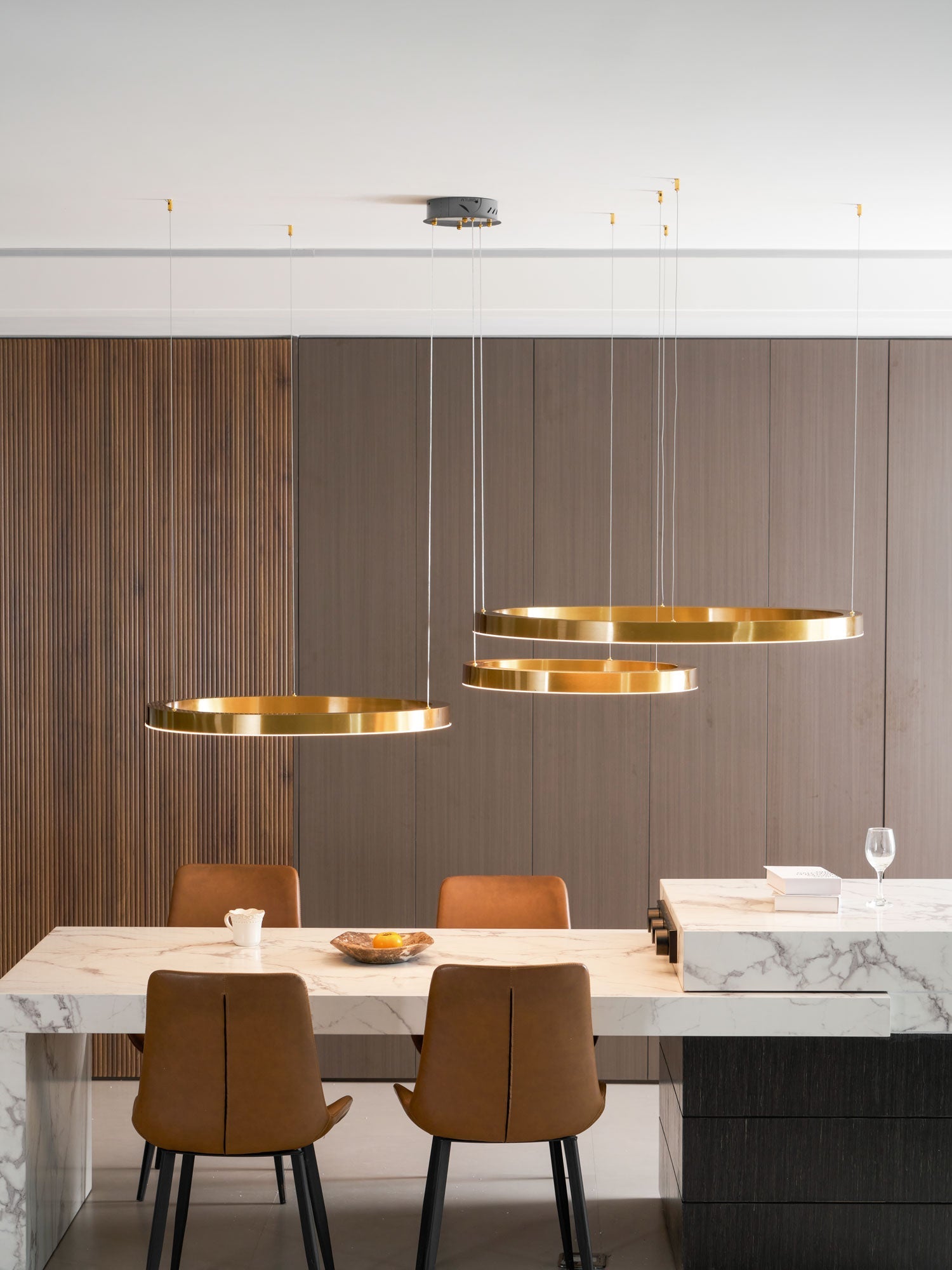 Ring LED Pendant Light