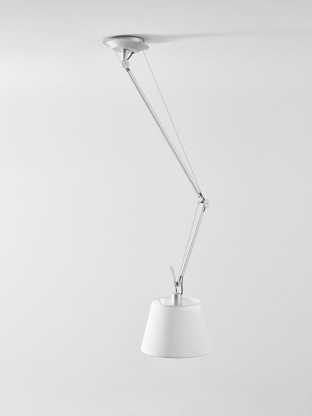 Rotatable Ceiling Pendant Light