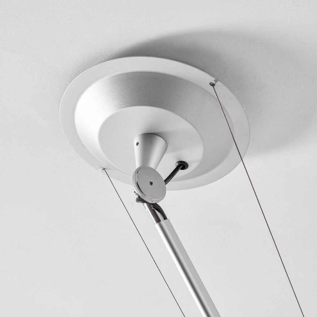 Rotatable Ceiling Pendant Light