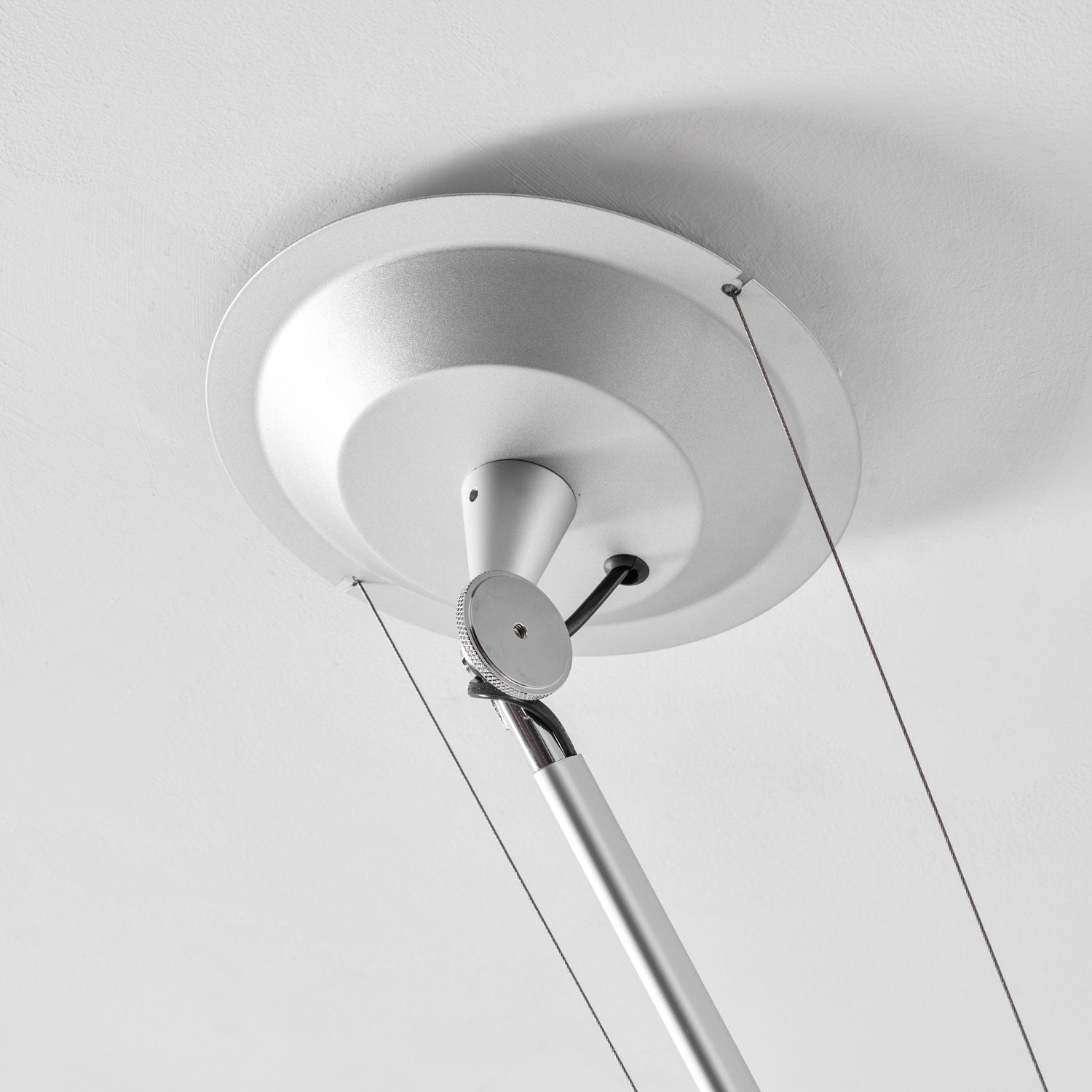 Rotatable Ceiling Pendant Light