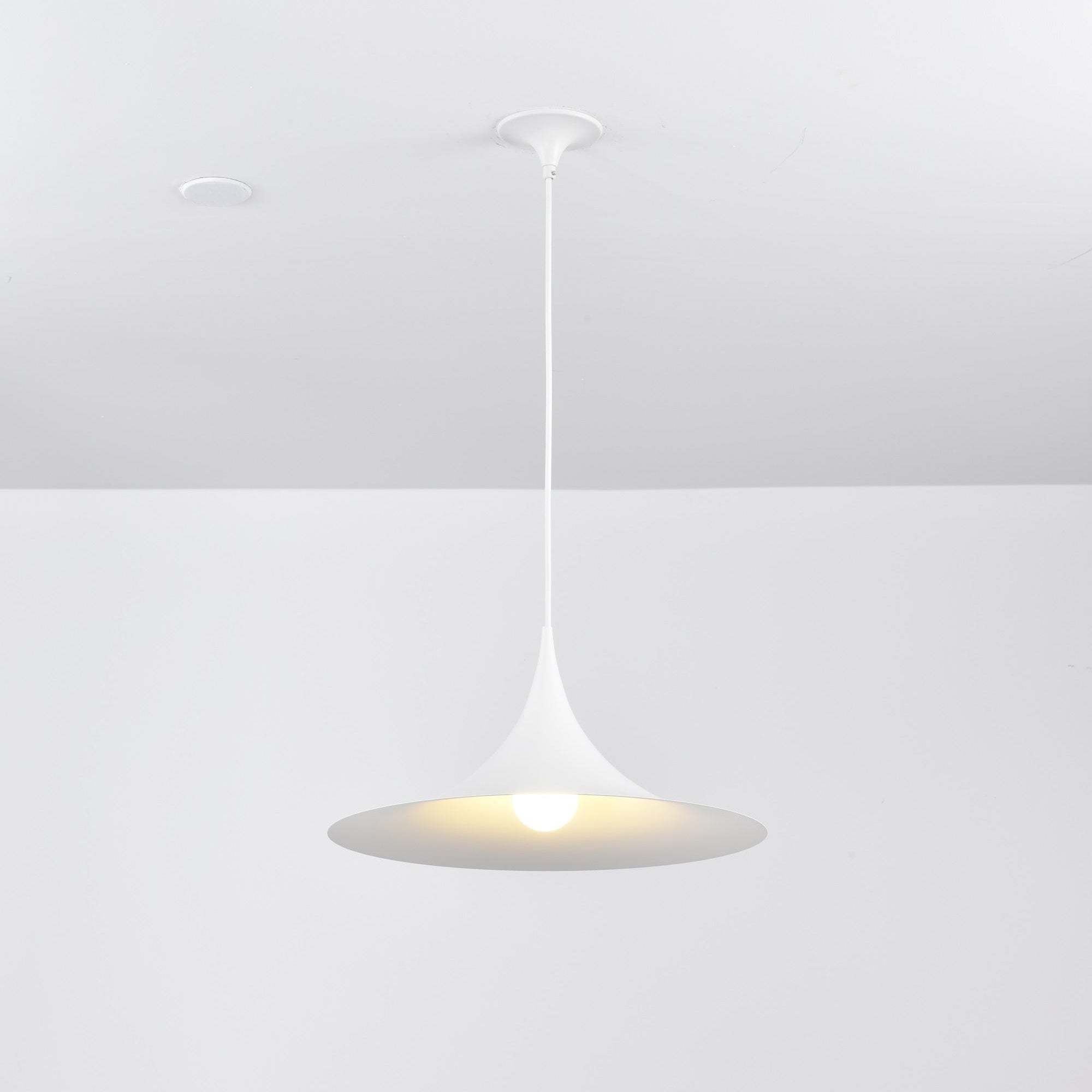 Semi Pendant Light