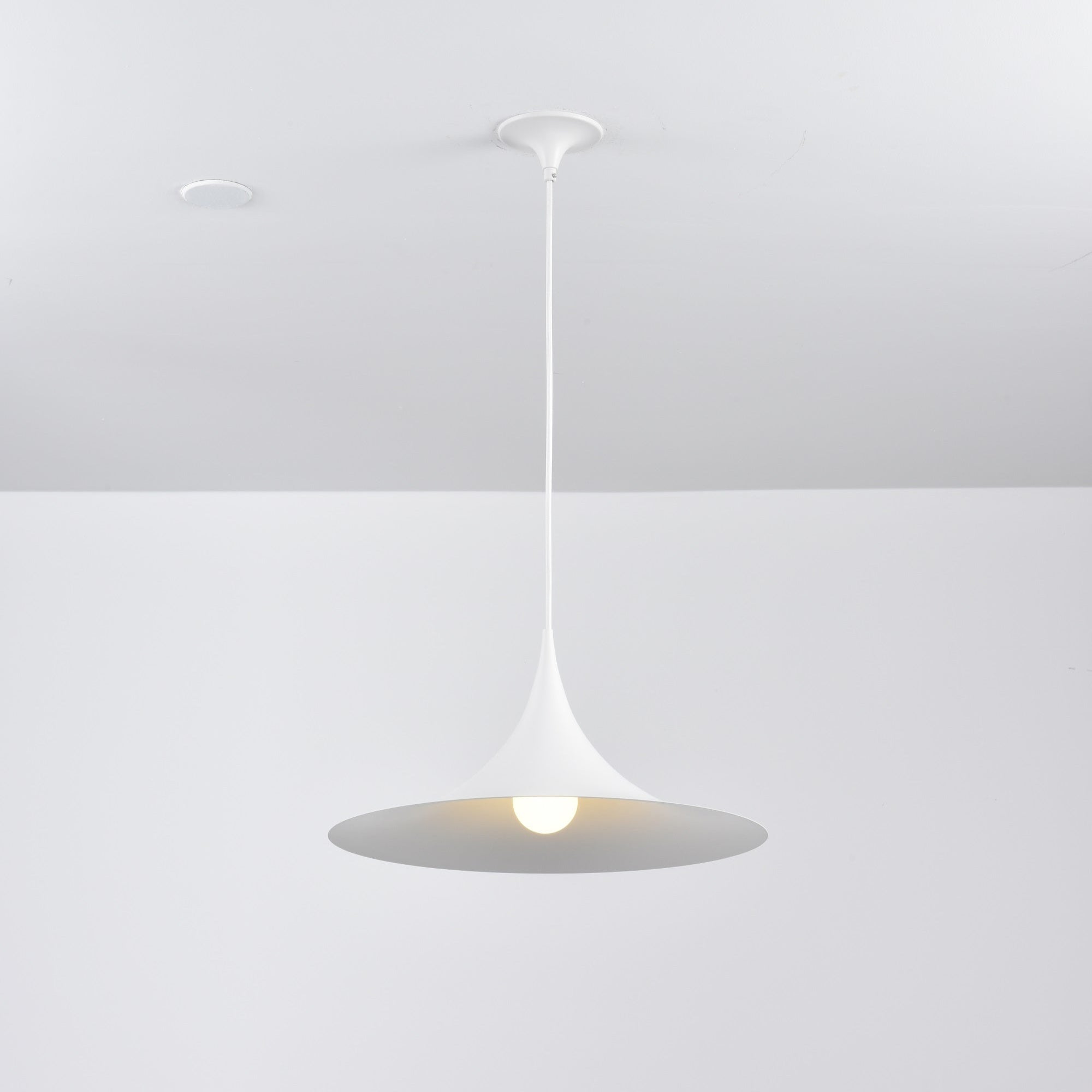 Semi Pendant Light