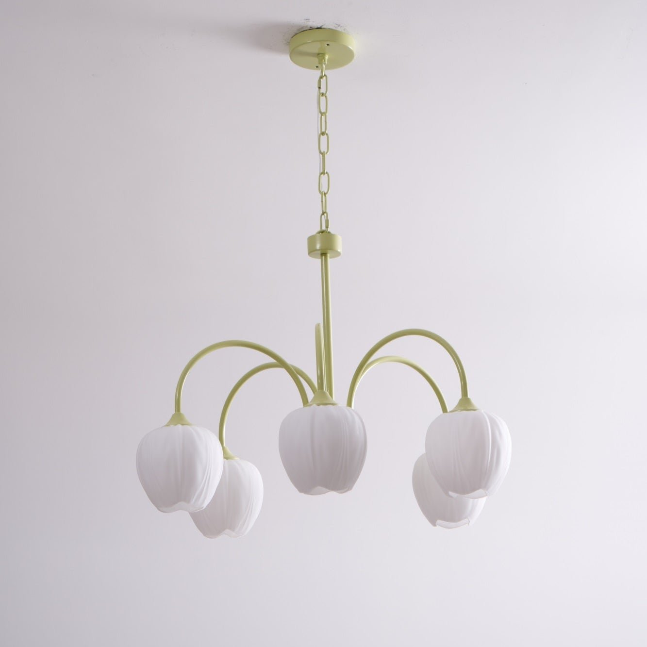 Tulip Matcha Chandelier